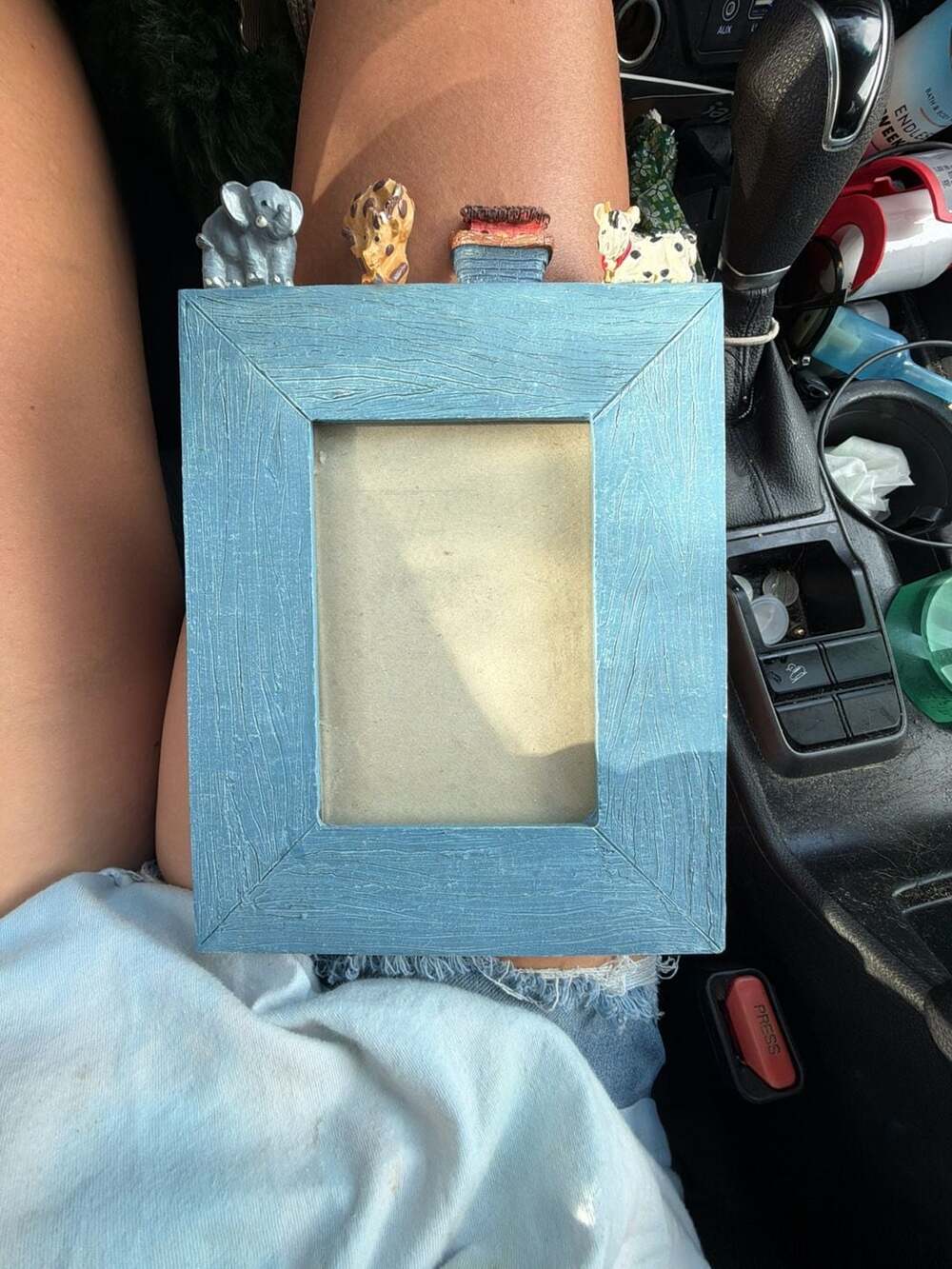 Safari Animal Themed Blue Textured Picture Frame